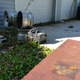 Illustration for article titled I Just Came Home to a Junkyard